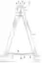 Fig. 01 - SAWHORSE