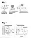 Fig. 04 - Electroactivated film with electrocatalyst-enhanced carbon electrode