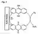 Fig. 03 - Electroactivated film with layered structure