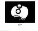 Fig. 15 - Method and apparatus for manipulating single cells and small aggregates thereof