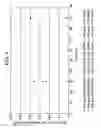 Fig. 07 - Polishing composition containing polyether amine