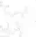 Fig. 28 - Compound comprising phenyl pyridine units