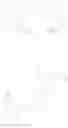 Fig. 53 - Compound comprising phenyl pyridine units