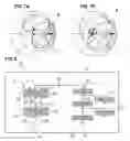 Fig. 05 - ACOUSTIC WAVE FILTER APPARATUS AND DUPLEXER