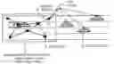 Fig. 01 - System and Method for Providing Real-Time Dangerous Road Information Based on USN