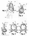 Fig. 02 - Finger appliance for data entry in electronic devices