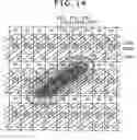 Fig. 14 - Display device, method of laying out light emitting elements, and electronic device