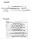 Fig. 19 - Liquid crystal display method and liquid crystal display device improving motion picture display grade