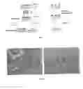 Fig. 07 - Process for the application of spin transition molecular materials in thin layers