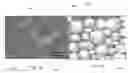 Fig. 08 - Carbon Foam Based Three-Dimensional Batteries and Methods