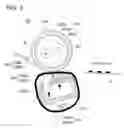 Fig. 04 - Electrophotographic toner