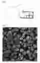 Fig. 02 - TONER FOR ELECTROSTATIC CHARGE IMAGE DEVELOPMENT