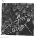 Fig. 04 - TONER FOR ELECTROSTATIC CHARGE IMAGE DEVELOPMENT
