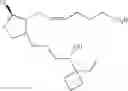 Fig. 63 - Pyrrolidine derivatives as prostaglandin modulators