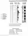 Fig. 01 - Nucleotide and amino acid sequences relating to respiratory diseases and obesity