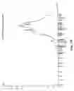 Fig. 03 - Nucleotide and amino acid sequences relating to respiratory diseases and obesity
