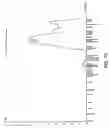 Fig. 04 - Nucleotide and amino acid sequences relating to respiratory diseases and obesity