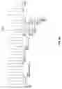 Fig. 30 - Nucleotide and amino acid sequences relating to respiratory diseases and obesity