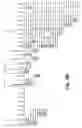 Fig. 31 - Nucleotide and amino acid sequences relating to respiratory diseases and obesity