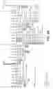 Fig. 33 - Nucleotide and amino acid sequences relating to respiratory diseases and obesity