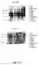 Fig. 52 - Nucleotide and amino acid sequences relating to respiratory diseases and obesity