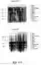 Fig. 53 - Nucleotide and amino acid sequences relating to respiratory diseases and obesity