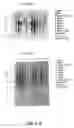 Fig. 55 - Nucleotide and amino acid sequences relating to respiratory diseases and obesity