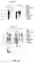 Fig. 58 - Nucleotide and amino acid sequences relating to respiratory diseases and obesity