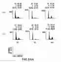 Fig. 104 - Methods to identify compounds useful for the treatment of proliferative and differentiative disorders