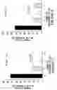Fig. 109 - Methods to identify compounds useful for the treatment of proliferative and differentiative disorders