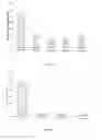 Fig. 07 - Therapeutic compositions