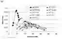 Fig. 07 - Methods for increasing shoot-to-root ratio, seed production and resistance to diseases