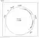 Fig. 28 - Methods for increasing shoot-to-root ratio, seed production and resistance to diseases