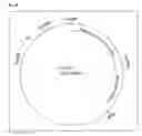 Fig. 34 - Methods for increasing shoot-to-root ratio, seed production and resistance to diseases
