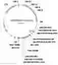 Fig. 01 - Methods For Improving Plant Growth