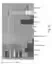 Fig. 06 - Isolated polypeptides, polynucleotides encoding same, transgenic plants expressing same and methods of using same