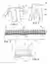 Fig. 02 - Composite fabric with engineered pattern