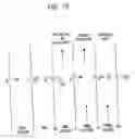 Fig. 15 - Removal of carbon dioxide from air
