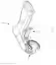 Fig. 02 - Holder apparatus adapted for gripping and operating a sprayer