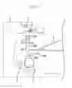 Fig. 03 - Sheet stacking apparatus and image forming apparatus