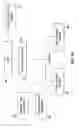 Fig. 07 - Point of scan/copy redaction