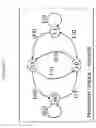 Fig. 13 - Rotation Direction Control for Phase Modulation