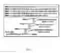 Fig. 02 - Template-synthesized DNA nanotubes
