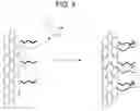 Fig. 05 - EPOXY FUNCTIONALIZED CARBON NANOTUBES AND METHODS OF FORMING THE SAME