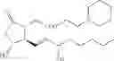 Fig. 29 - Processes and intermediates for the preparations of prostaglandins