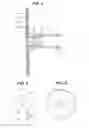 Fig. 04 - Marker of wound infection