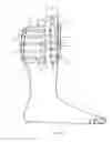Fig. 06 - Apparatus for preventing deep vein thrombosis
