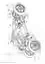Fig. 04 - Saddle riding type vehicle