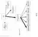 Fig. 43 - BROWSER EVENT TRACKING FOR DISTRIBUTED WEB-BASED PROCESSING, SPATIAL ORGANIZATION AND DISPLAY OF INFORMATION