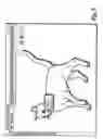Fig. 06 - SYSTEM, METHOD AND COMPUTER PROGRAM PRODUCT FOR ANIMAL IMAGING